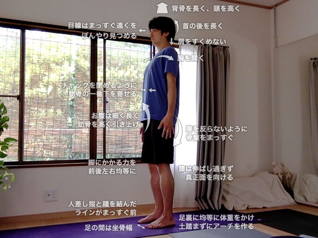 タダーサナ（ターダーサナ・山のポーズ・サマスティティヒ）の効果とやり方・図解