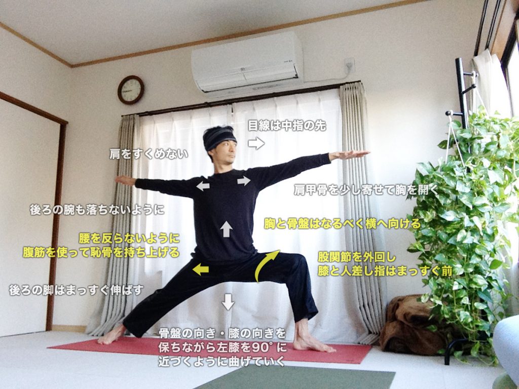ヴィラバドラーサナⅡ（ウォーリアⅡ・戦士のポーズⅡ・英雄のポーズⅡ）のやり方・効果・図解