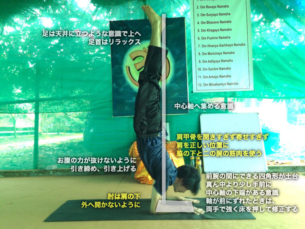 ピンチャマユラーサナ（孔雀の羽のポーズ）のやり方・効果・図解