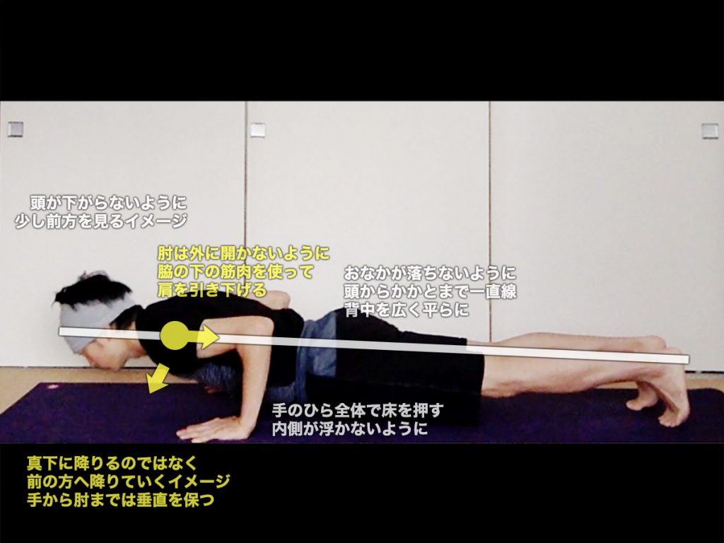 チャトランガ・ダンダーサナ（4点で支える杖のポーズ）のやり方・効果・動画
