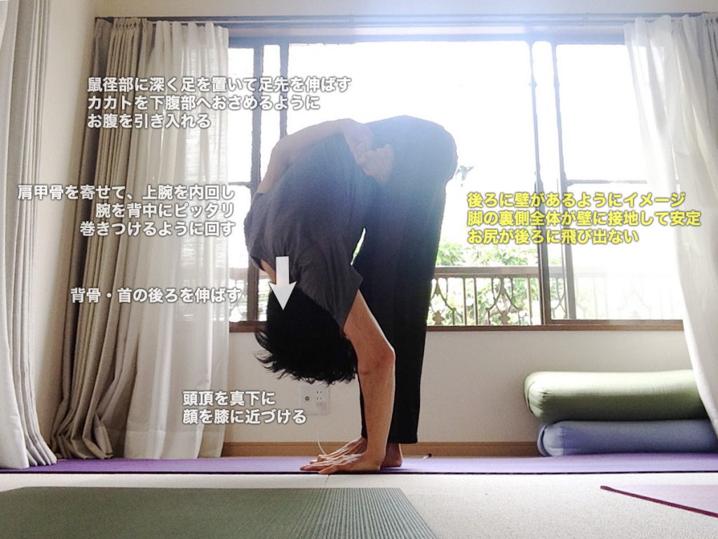 アルダ・バッダ・パドモッターナーサナ（半蓮華座を組んだ立位前屈ポーズ）のやり方・効果・図解