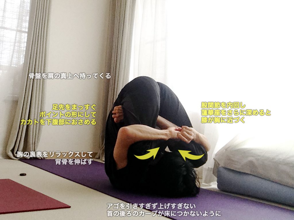ピンダーサナ（胎児のポーズ）のやり方・効果