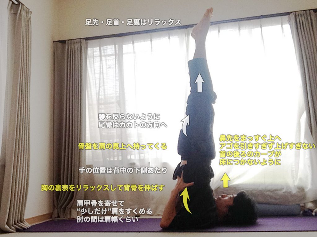 サーランバサルヴァンガーサナ（ショルダースタンド・肩立ち）のやり方・効果・動画
