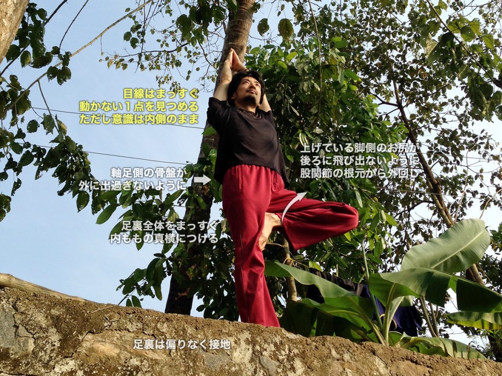 ヴリクシャーサナ（木のポーズ・立ち木のポーズ）のやり方・効果・図解