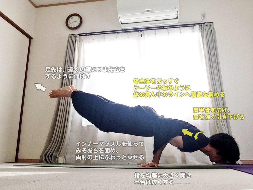 マユラーサナ（孔雀のポーズ）のやり方・効果