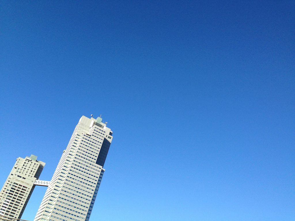 朝の習慣にしたい、呼吸法とヨガポーズ（初心者向け）