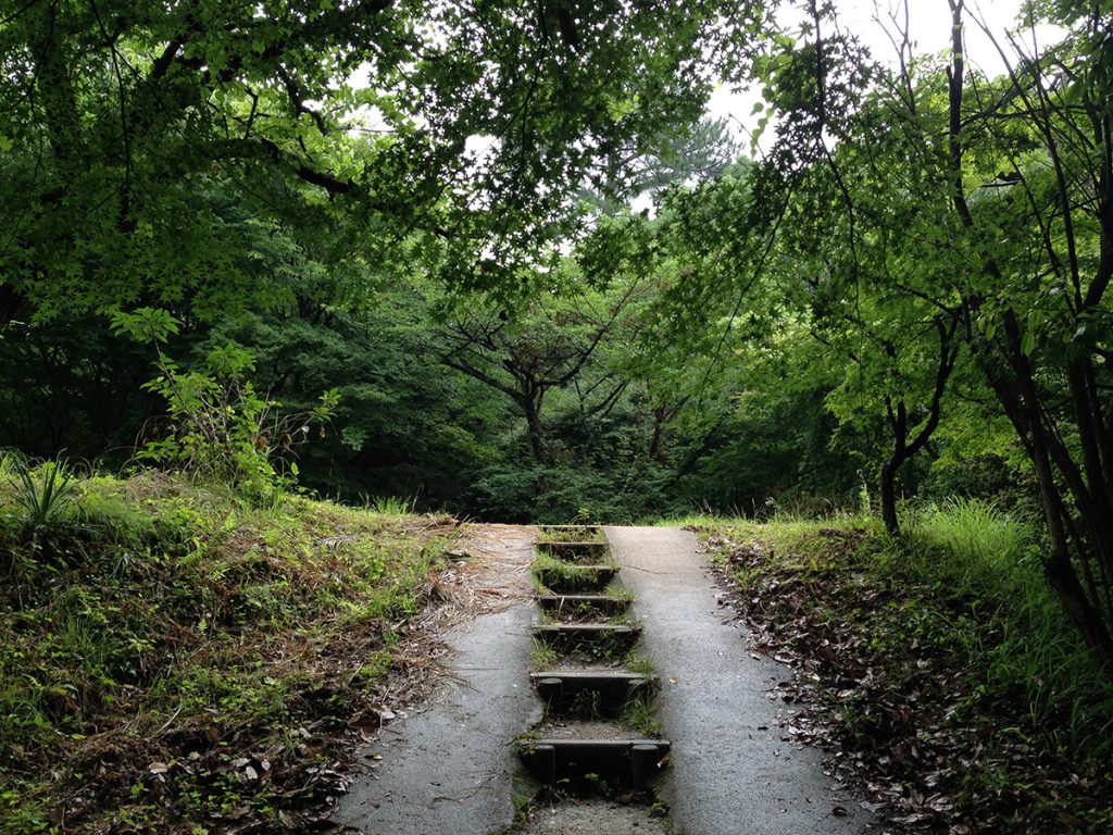 やりたいことをやるには