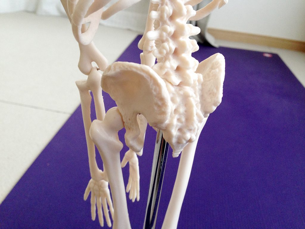 自分がどっちを向いているのか、どっちへ行きたいのか 〜仙骨の向きを整える〜