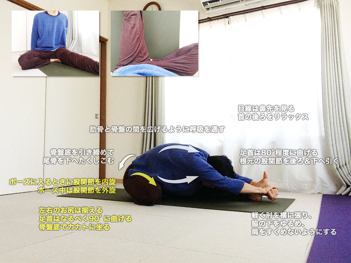 ジャーヌシルシャーサナB（坐位の片脚前屈・股関節内旋）の効果とやり方・図解
