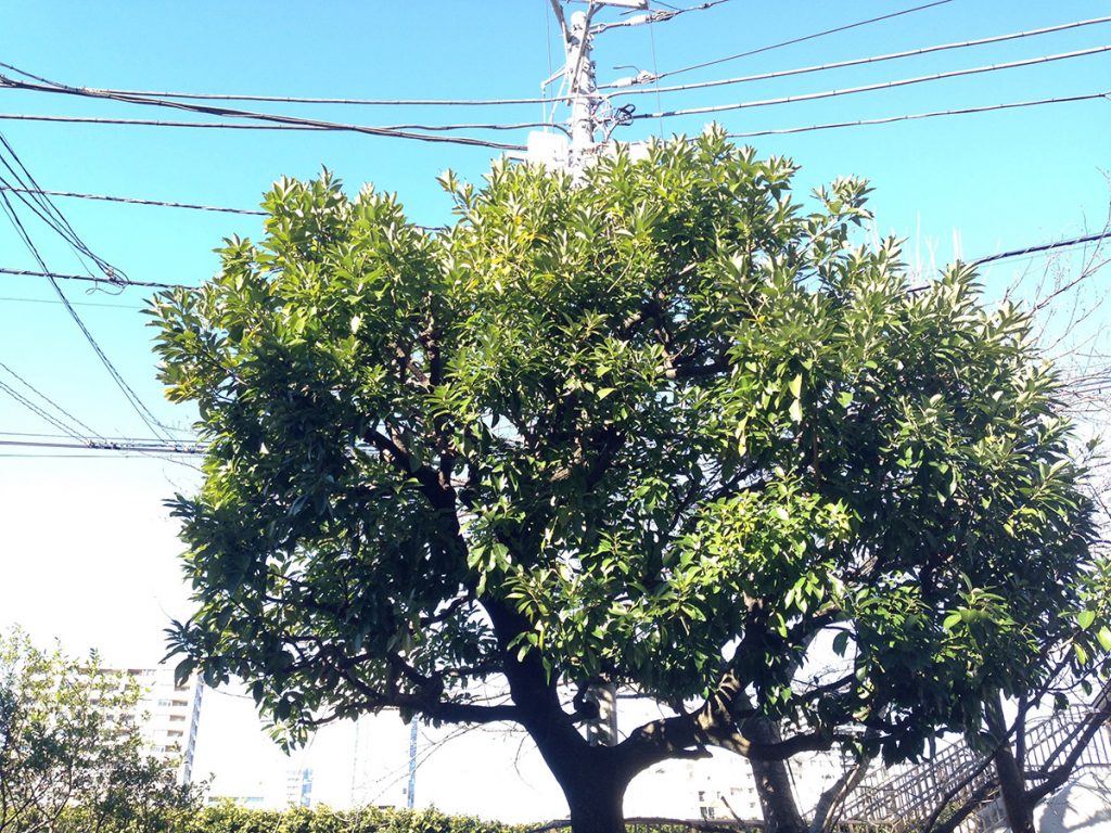 感覚を磨くとともに、心の波立ちをコントロールする