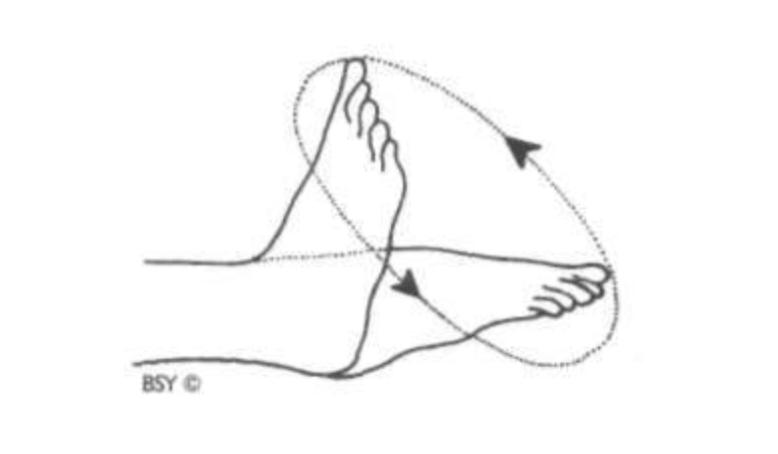 Круговые движения в голеностопном суставе. Круговые движения стопами. Круговые вращения стопами. Вращение в голеностопном суставе.