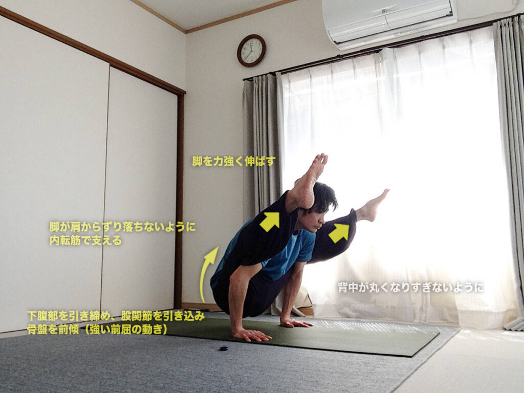 ティッティバーサナ（ホタルのポーズ）のやり方・効果・図解