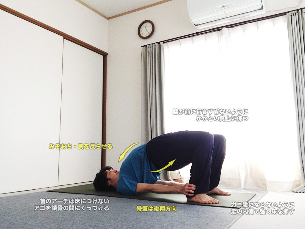 カンダラーサナ（足首をつかんだ橋のポーズ）のやり方・効果・図解