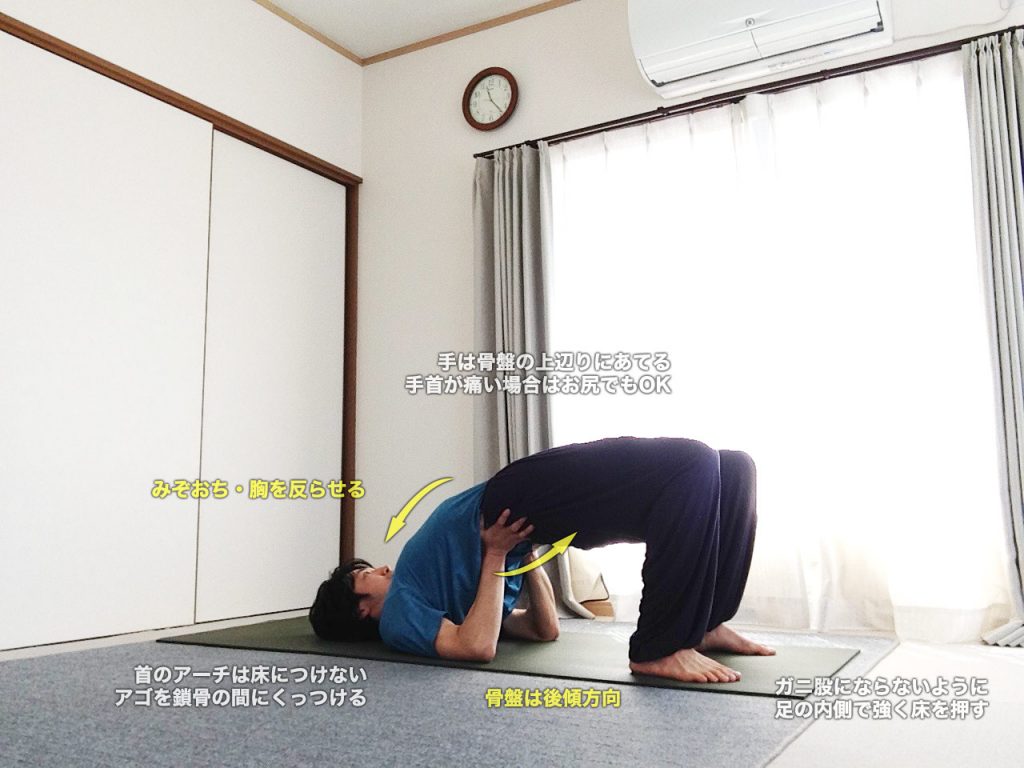 セツバンダーサナ（橋のポーズ：シヴァナンダヨガ版）のやり方・効果・図解