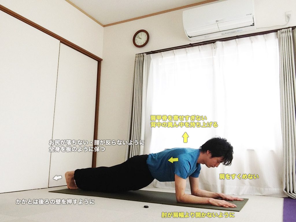 ドルフィンプランクポーズ（肘つきプランク）の効果とやり方・図解