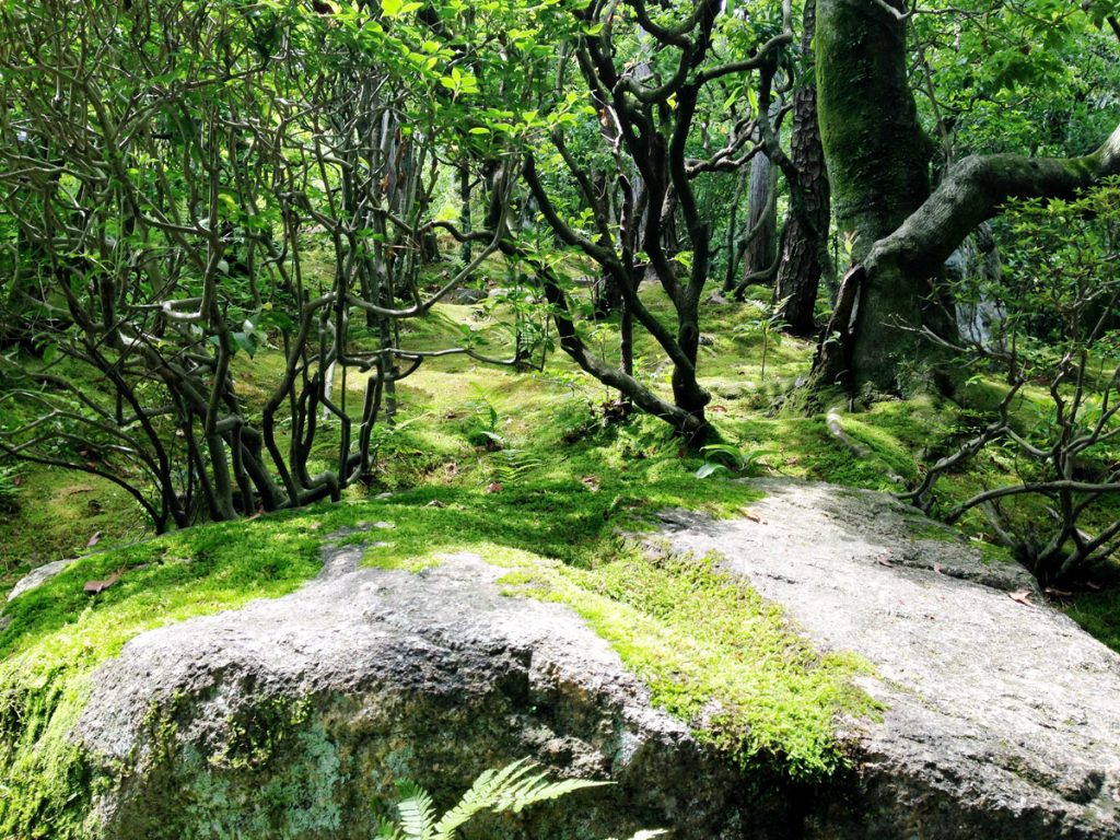 人の体は、それぞれ異なる