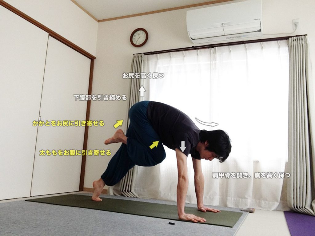太陽礼拝でダウンドッグから足を前に踏み出すときのコツ・練習法