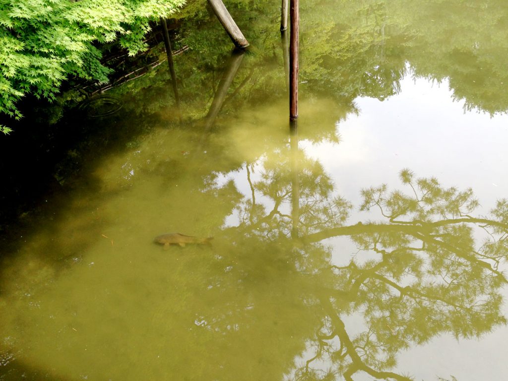 違和感に気づいたら