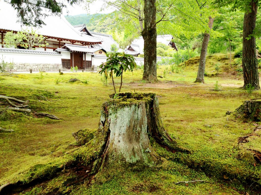 自発的であること（若者向けヨガの心構え）