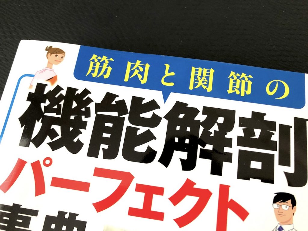 身体の動きに関わる筋肉まとめ・強化＆ストレッチするヨガポーズやエクササイズ