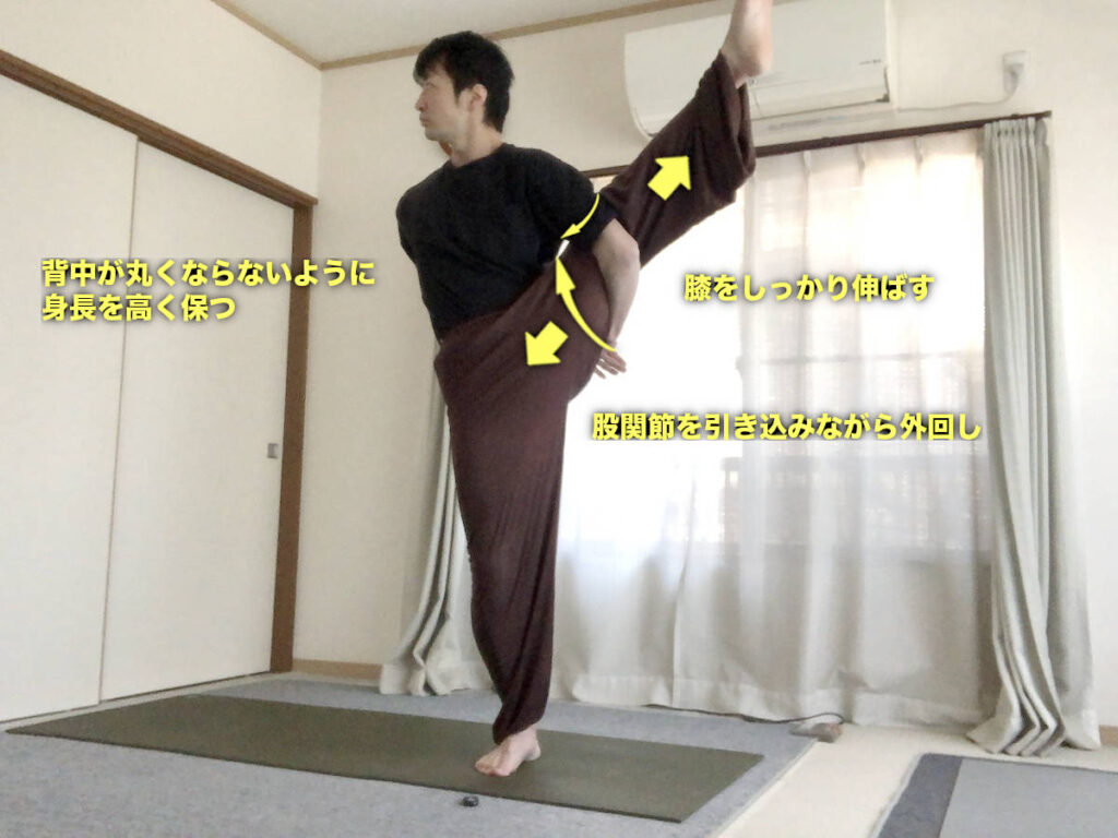スヴァルガドヴィジャーサナ（極楽鳥のポーズ）の効果とやり方・図解