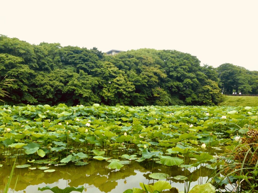 愚痴を言わずに、前へ進むためのヒント