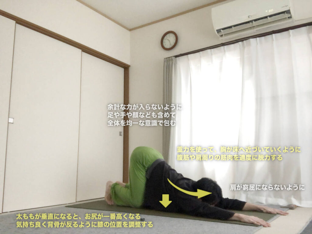 アナハタアーサナ（陰ヨガ）の効果とやり方・図解