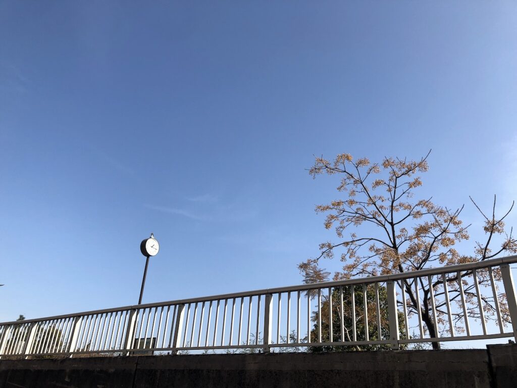 意識の向く方向に、エネルギーは流れる