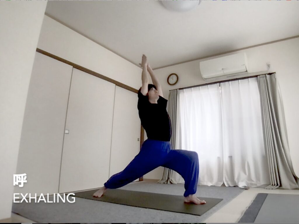 アーサナを行っている動画を公開していきます