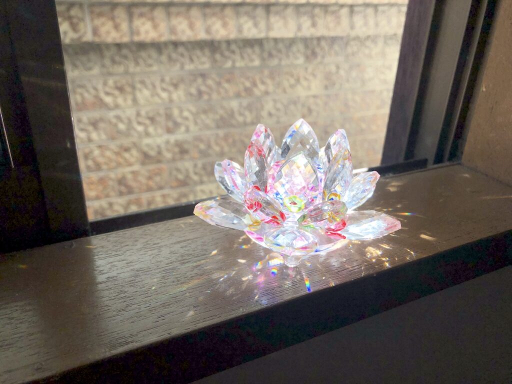 身体を使って、心を整える