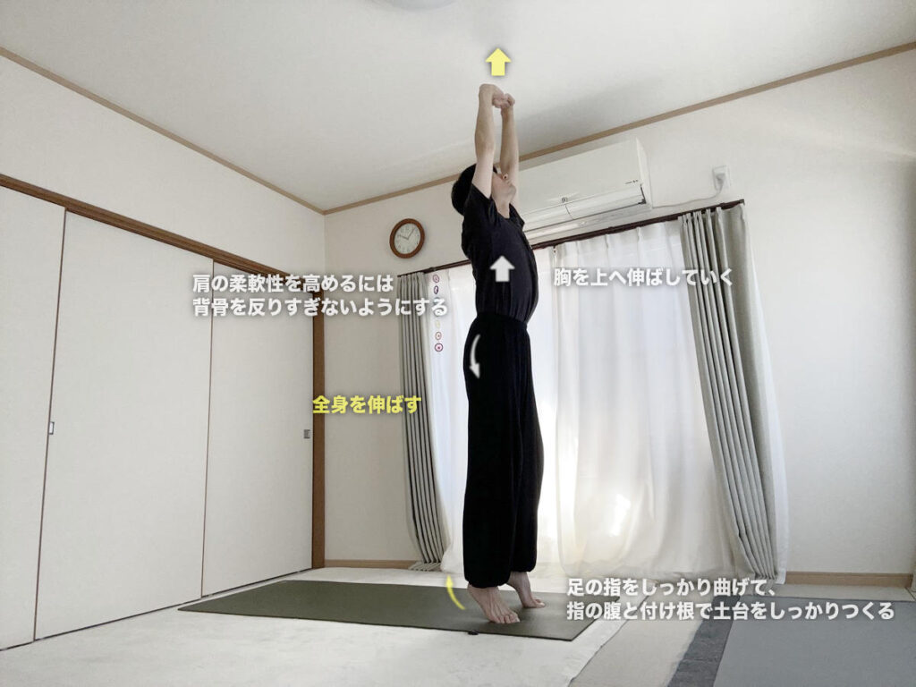 ターダーサナ（ヤシの木のポーズ）の効果とやり方・図解
