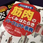 「解剖学」という言葉や「筋肉」や「骨」への、一般的な認識