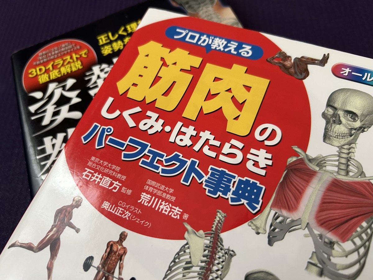 「解剖学」という言葉や「筋肉」や「骨」への、一般的な認識