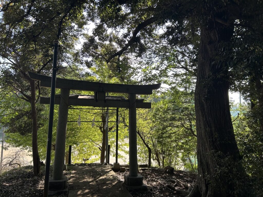 少し遠方へ、千葉県に出張オフィスヨガ