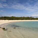 伊良部島・宮古島 瞑想旅行 1日目｜2026年1月の旅行記