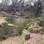 伊良部島・宮古島 瞑想旅行 2日目前半｜2026年1月の旅行記