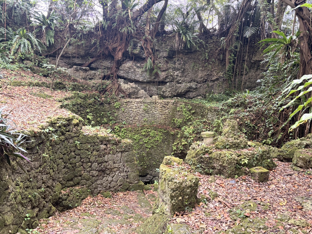 伊良部島・宮古島 瞑想旅行 2日目前半｜2026年1月の旅行記