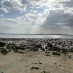 自分で試さなければ、先には進めない