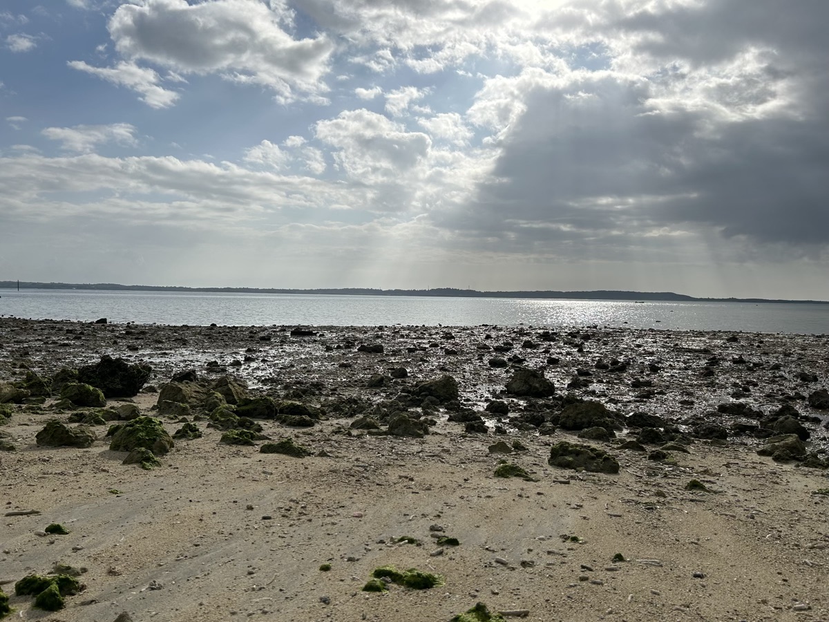 自分で試さなければ、先には進めない