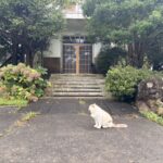 根府川ヨーガ道場 断食合宿体験記（5回目）