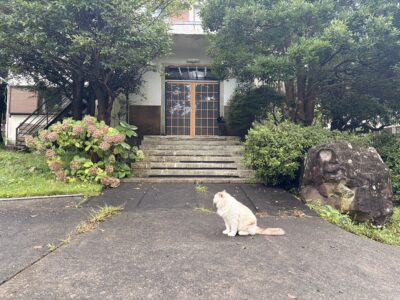 根府川ヨーガ道場 断食合宿体験記（5回目）